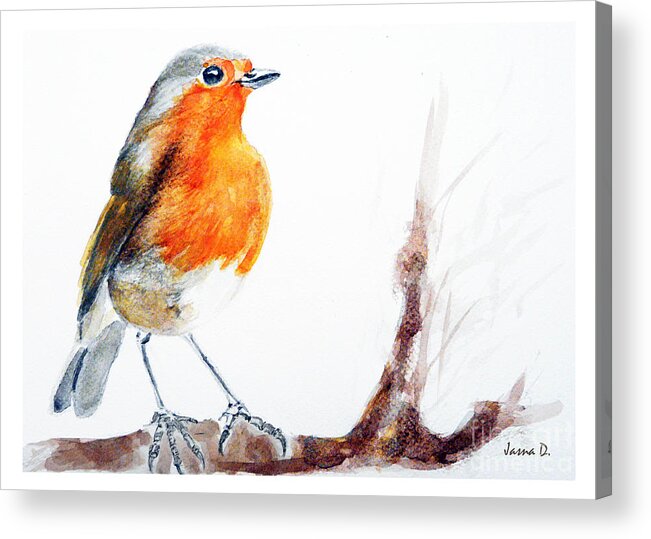 Robin Acrylic Print featuring the painting I am happy by Jasna Dragun