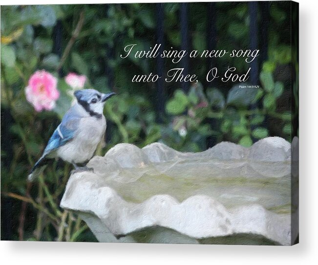 Bird Blue Jay Fowl Birdbath Water Flowers Rose Pink Psalm Bible Scripture God Faith Father Almighty Savior Sing Christian Christ Jesus Midwest Digital Painting Acrylic Print featuring the photograph I Will Sing a New Song by Diane Lindon Coy