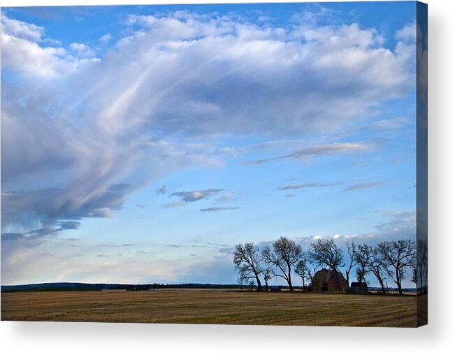 Cloud Acrylic Print featuring the photograph In My Dreams by Sandra Parlow