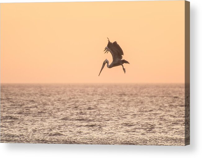 Pacific Ocean Acrylic Print featuring the photograph Incoming by Amanda Rimmer