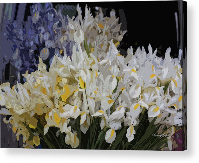 Photograph Acrylic Print featuring the photograph Incredible Irises - Cutout by Suzanne Gaff