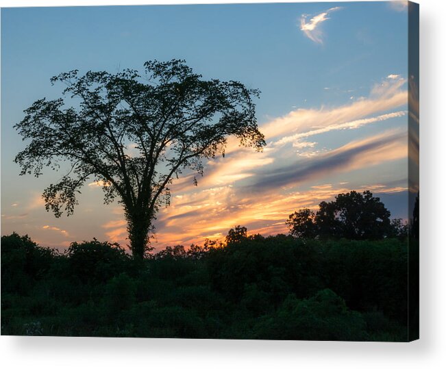 Sunset Acrylic Print featuring the photograph July Sunset by Holden The Moment