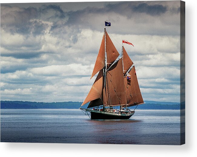Windjammer Acrylic Print featuring the photograph Ketch Angelique by Fred LeBlanc