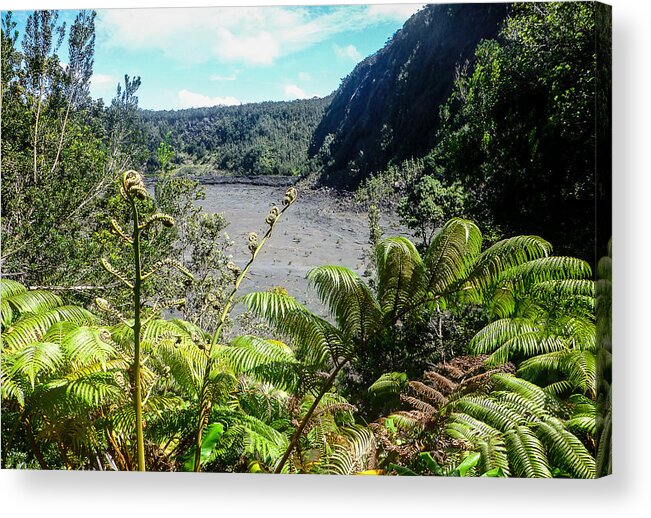 Hawaii Acrylic Print featuring the photograph Kilauea Iki View by Pamela Newcomb