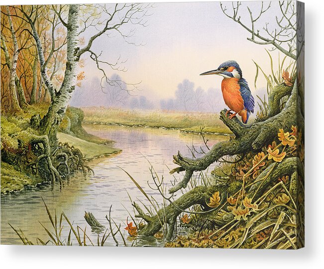Kingfisher Acrylic Print featuring the painting Kingfisher Autumn River Scene by Carl Donner