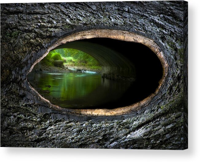 Tree Acrylic Print featuring the digital art Knot Hole 2 by Rick Mosher