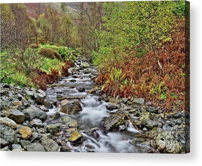 English Lakes Acrylic Print featuring the photograph Lake District Autumn Stream by Martyn Arnold