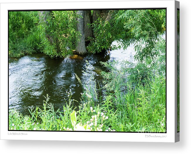 Water Acrylic Print featuring the digital art Lake McIntosh Stream by Deb Nakano