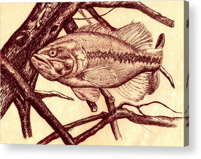 Fish Acrylic Print featuring the drawing Large Mouth by Kathleen Kelly Thompson