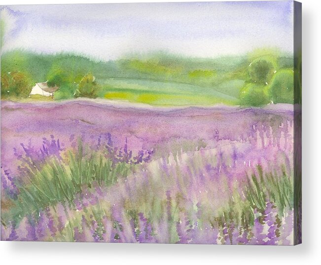 Lavender Acrylic Print featuring the painting Lavender field in Italy by Yolanda Koh
