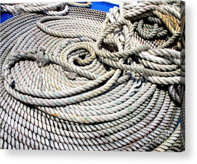 Rope Acrylic Print featuring the photograph Learning The Ropes by Randall Weidner