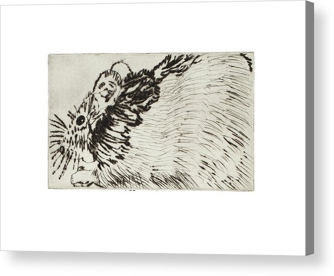 Rat Acrylic Print featuring the drawing Learning to Love Rats More #1 by Dawn Boswell Burke