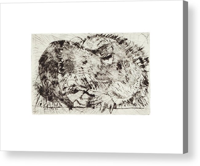  Acrylic Print featuring the mixed media Learning to Love Rats More #5 by Dawn Boswell Burke