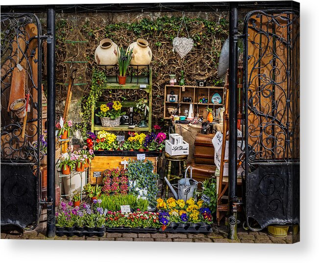 Flower Acrylic Print featuring the photograph Little Market by Nick Bywater