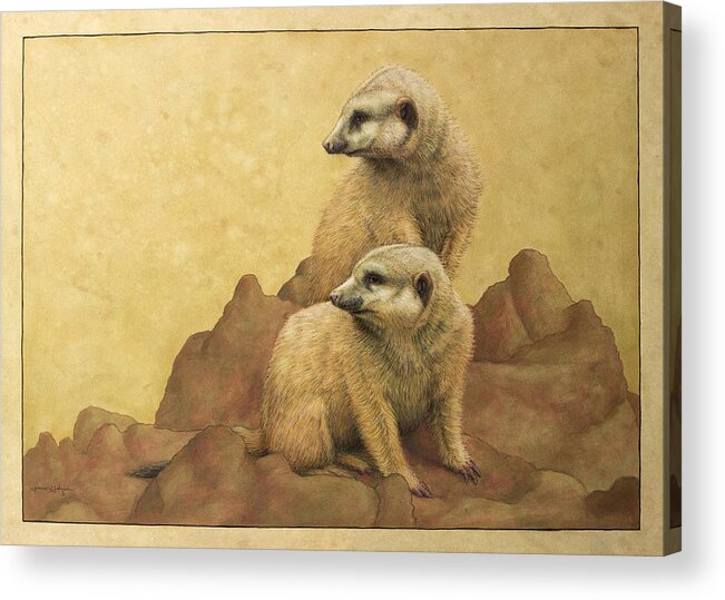 Meerkats Acrylic Print featuring the painting Lookouts by James W Johnson