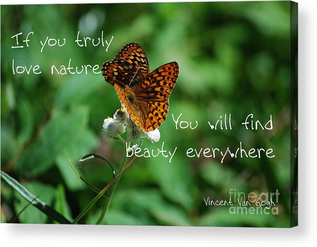 Butterflies Acrylic Print featuring the photograph Love of Nature by Sharon Elliott