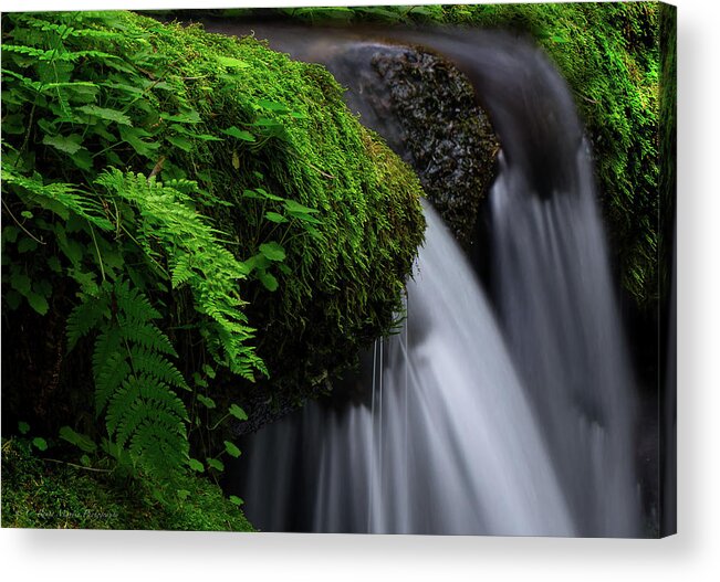 Water Acrylic Print featuring the photograph Lush Cascade by C Renee Martin