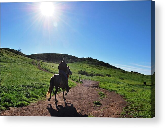 Tree Acrylic Print featuring the photograph Man Riding Horse Through the Hills by Matt Quest