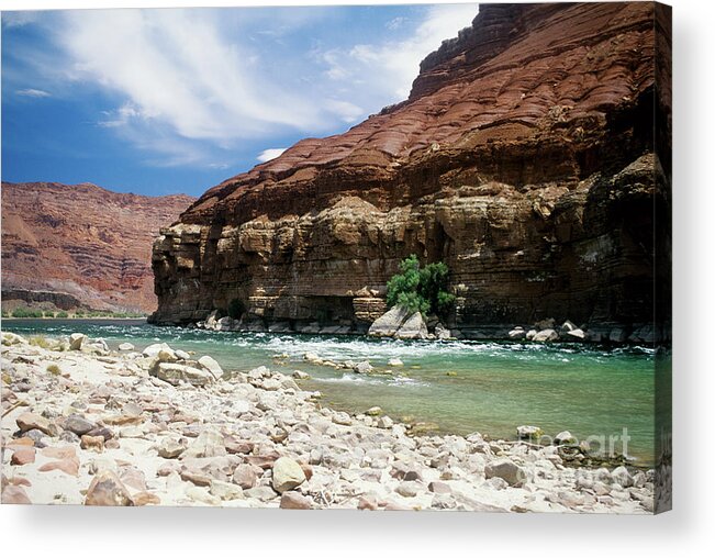 Ccolorado River Acrylic Print featuring the photograph Marble Canyon by Kathy McClure