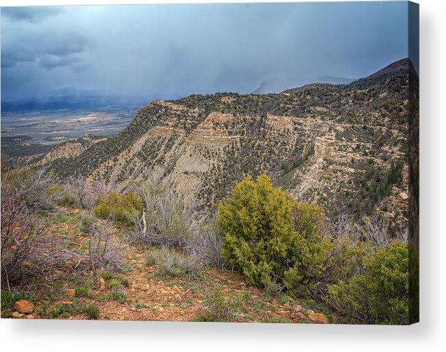 Joan Carroll Acrylic Print featuring the photograph Mesa Verde National Park Colorado USA by Joan Carroll