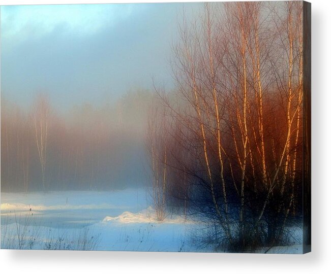 Mist Of The Morning Acrylic Print featuring the photograph Mist of the Morning by Karen Cook
