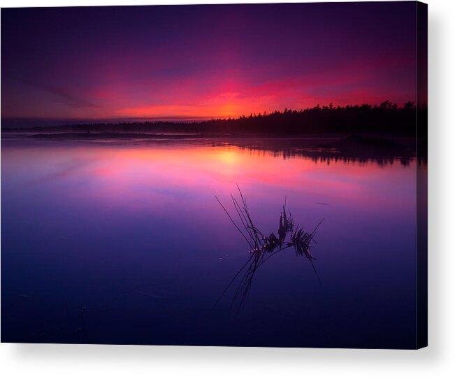 Landscape Acrylic Print featuring the photograph Misty sunset at Singing Sands Beach by Cale Best