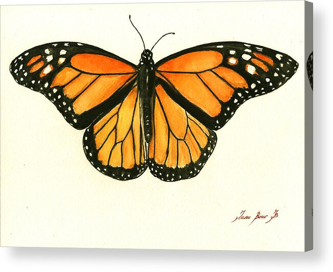  Monarch Butterfly Acrylic Print featuring the painting Monarch butterfly by Juan Bosco
