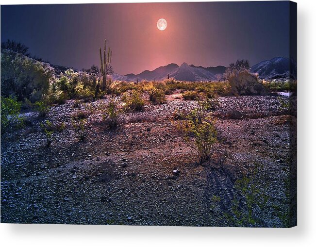 Composite Acrylic Print featuring the photograph Moonglow by Jim Painter
