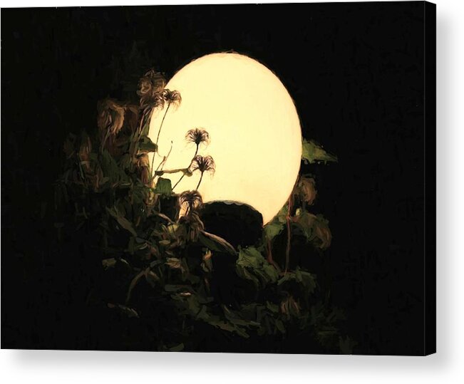 Art Acrylic Print featuring the digital art Moonglow Thistles by Charmaine Zoe