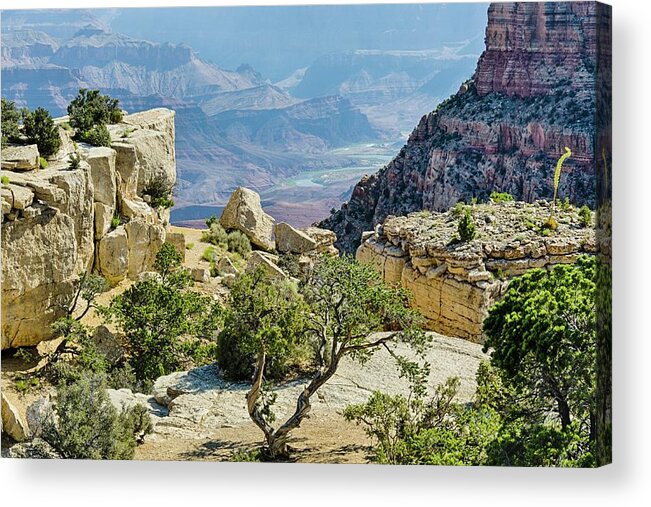 Rocks Acrylic Print featuring the photograph Moran Point view by Gaelyn Olmsted