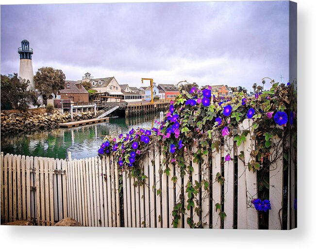 Morning Glories Acrylic Print featuring the photograph Morning Glory at the Harbor by Lynn Bauer