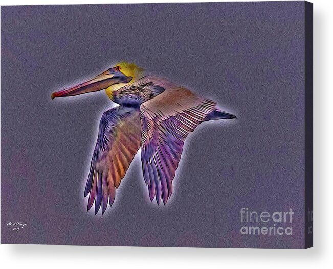 Brown Acrylic Print featuring the digital art Mystical Brown Pelican Soaring Spirit by DB Hayes