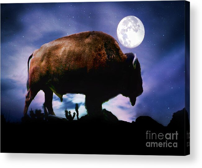 Buffalo Acrylic Print featuring the photograph Mystical Magical Native American Buffalo and Moon by Stephanie Laird