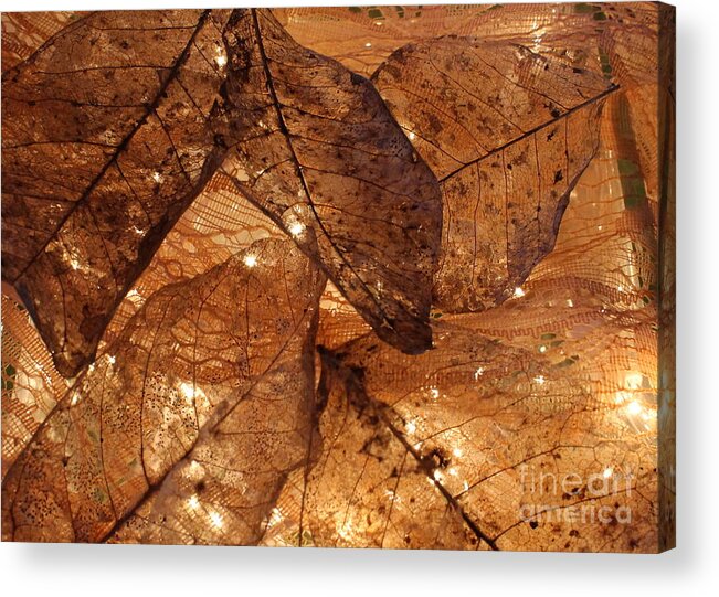 Lace Acrylic Print featuring the photograph Nature's Lace by Marie Neder