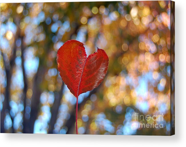 Heart Acrylic Print featuring the photograph Nature's Love by Debra Thompson