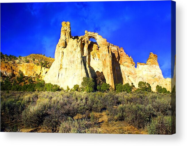 Ladscape Acrylic Print featuring the photograph Near By by Marty Koch