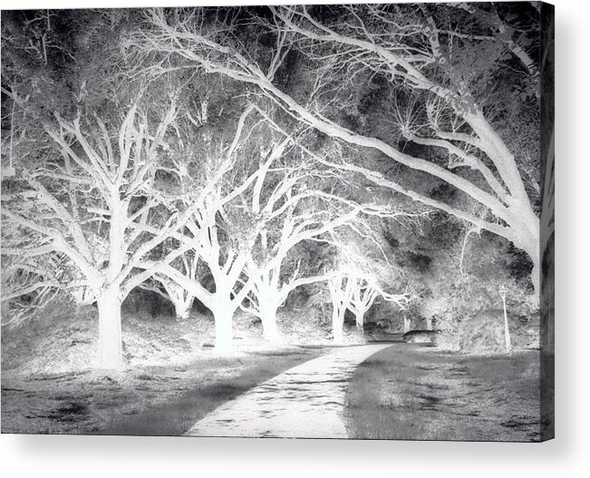 Landscape Acrylic Print featuring the photograph Negative Way by Jean Wolfrum
