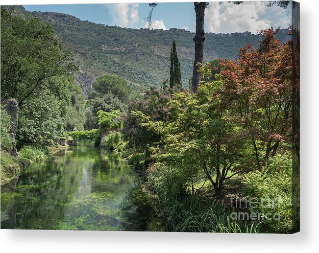 Ninfa Acrylic Print featuring the photograph Ninfa Garden, Rome Italy 5 by Perry Rodriguez