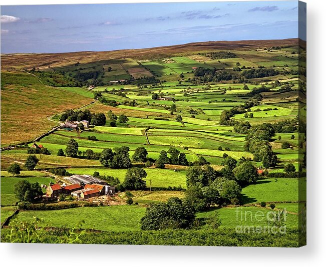 Yorkshire Landscape Acrylic Print featuring the photograph North York Moors countryside by Martyn Arnold