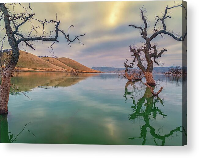 Landscape Acrylic Print featuring the photograph Oaks in Water by Marc Crumpler