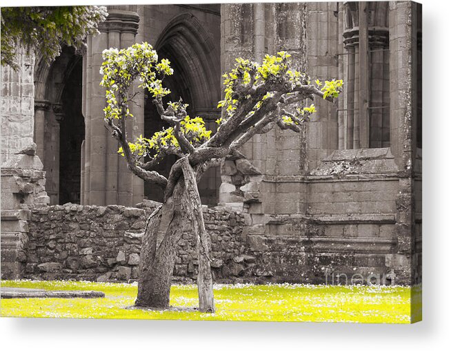 Ruins Of Abbey Acrylic Print featuring the photograph Oblivion. Hope. by Elena Perelman