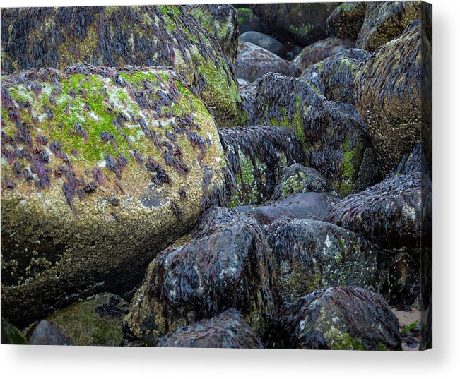 Massachusetts Acrylic Print featuring the photograph Ocean Rocks by Rick Mosher