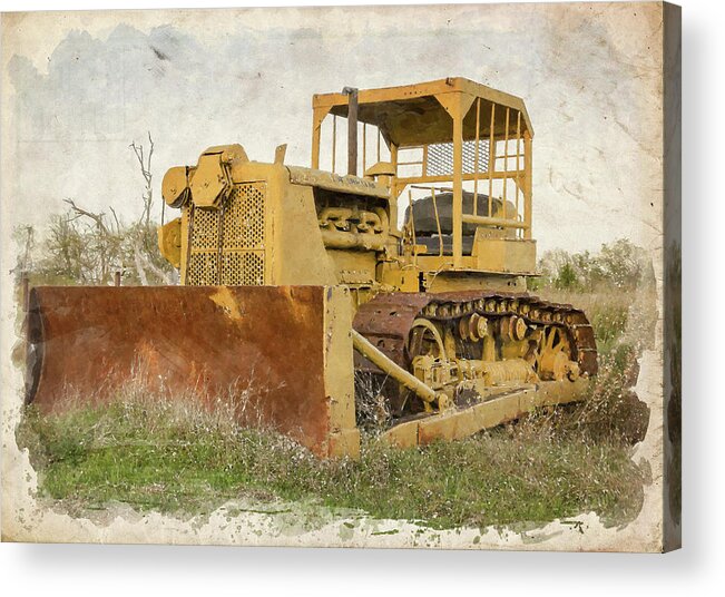 Big Acrylic Print featuring the photograph Old Cat Watercolor III by Ricky Barnard