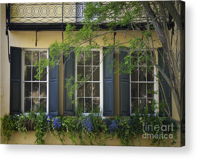 Charleston Sc Acrylic Print featuring the photograph Old Charleston Window by David Waldrop