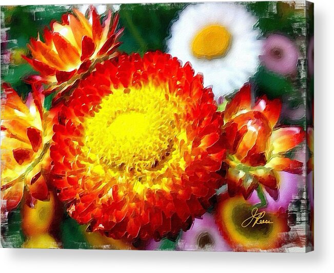 Orange Acrylic Print featuring the painting Orange Marigold by Joan Reese