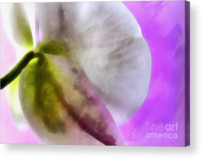 Orchid Acrylic Print featuring the photograph Orchid Of Inspiration by Krissy Katsimbras