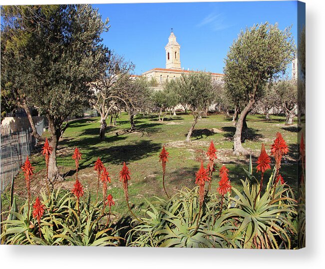 Our Father Prayer Acrylic Print featuring the photograph Our Father Prayer Garden by Munir Alawi