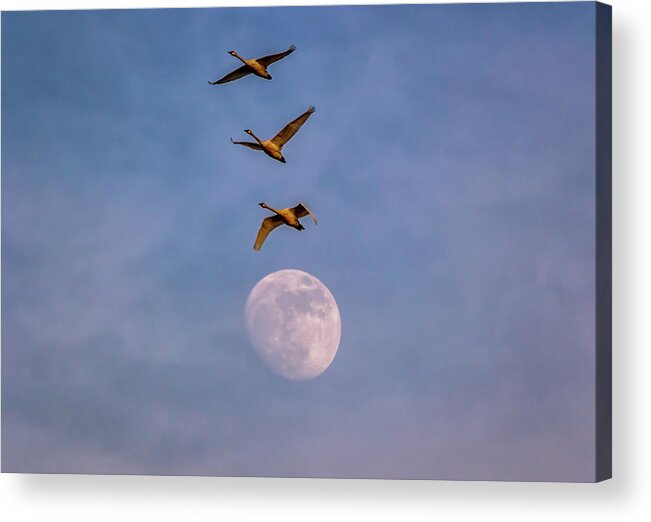 Oregon Acrylic Print featuring the photograph Over the Moon by Marc Crumpler