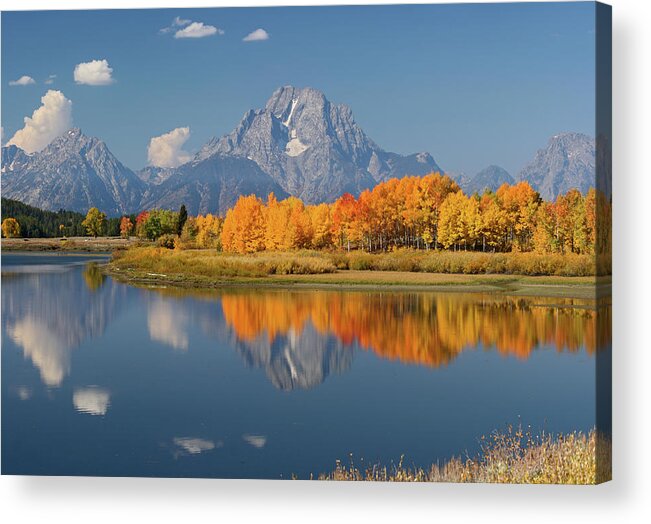 Grand Tetons Acrylic Print featuring the photograph Oxbow Bend Reflection by Wesley Aston