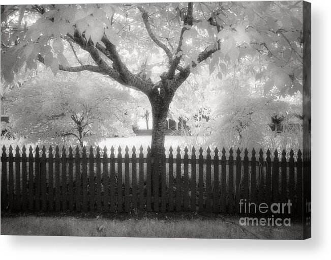 Our Town Acrylic Print featuring the photograph Oysterville Tree by Craig J Satterlee